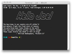 The Terminal application on Mac OS X